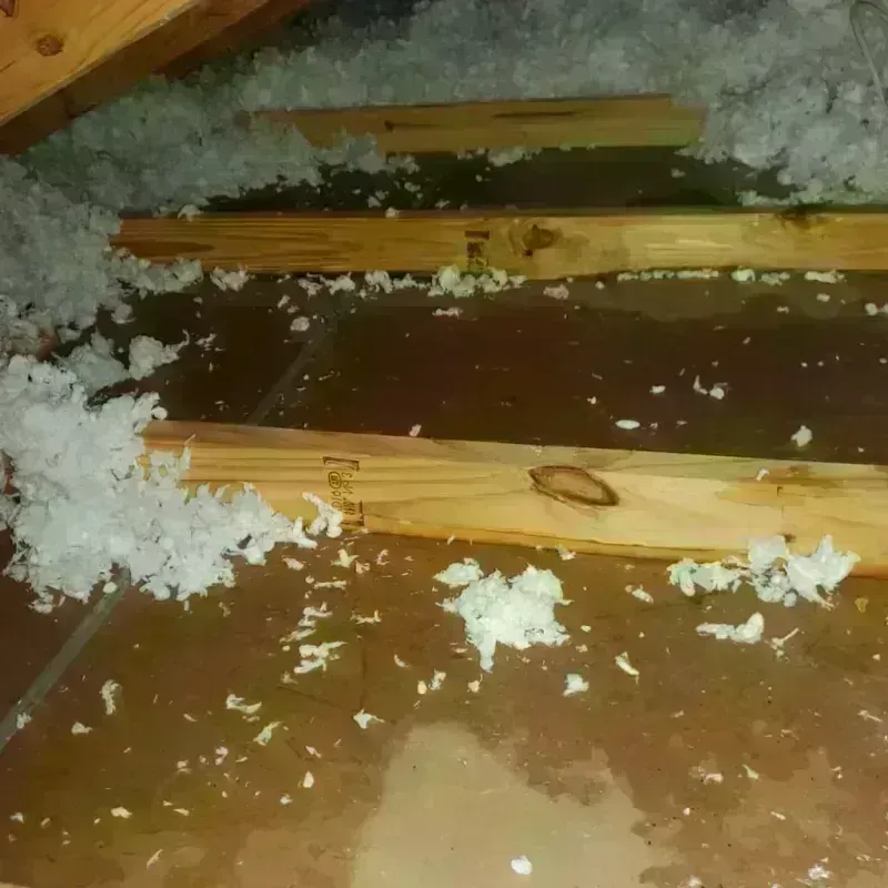 Attic Water Damage in Prowers County, CO